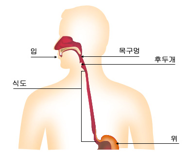 의약품 이미지